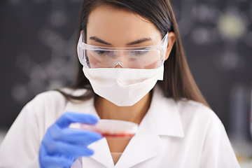 Image showing Scientist, mask and woman with petri dish for blood analysis, experiment or research in laboratory. Science, glasses and medical professional with culture plate, study and inspection for dna test