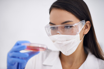 Image showing Science, mask and woman with petri dish for medical research, experiment for blood analysis in laboratory. Scientist, glasses and professional with culture plate, study and inspection for dna test