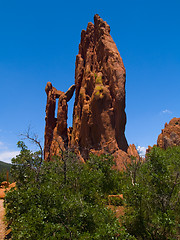 Image showing Garden of the Gods