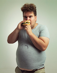 Image showing Burger, plus size and portrait for man in studio with diet for unhealthy eating, hungry and greed. Young person with meal in mouth and round stomach for messy eater, calories and takeaway indoor
