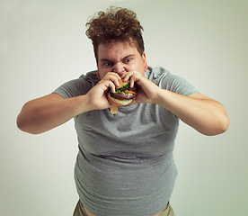 Image showing Takeaway, weight gain and burger for man in studio with fastfood for unhealthy eating, plus size and greed. Young person with meal in mouth and fat stomach for hunger, meat and sauce for bite indoor