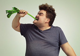 Image showing Diet, plus size and man eating vegetable for health benefit, nutrition and wellness in studio in white background. Weight loss, celery stick and male person for healthy food, wellbeing and detox