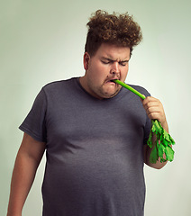 Image showing Diet, plus size and unhappy man eating vegetable for health benefit, nutrition and wellness in studio by white background. Weight loss, celery and male person for healthy food, wellbeing and detox