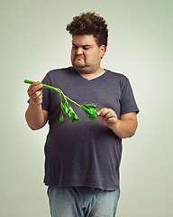 Image showing Plus size, diet and disgusted man with vegetable for health, nutrition and wellness in studio in white background. Weight loss, celery and unhappy male person for healthy food, wellbeing and detox