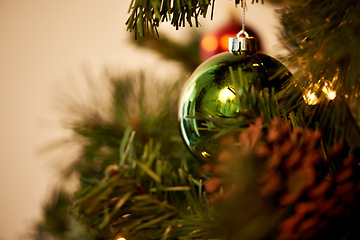 Image showing Christmas, tree and green ornament for holiday, celebration and closeup with tradition or festive season at home. Decorations, detail and event with ball, circle or sphere for xmas background