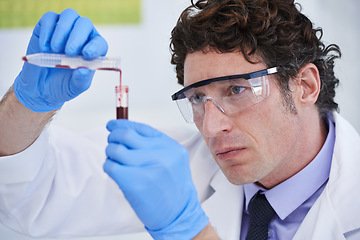 Image showing Science, study and man with blood in test tube for biotech engineering, pathology and analysis. Laboratory, investigation and scientist checking DNA sample for medical research in vaccine development