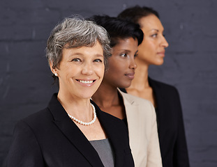 Image showing Team, professional and portrait of business woman with staff, employees and diversity in corporate career. People, management and leadership together for job in banking, finance and investment