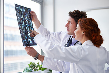 Image showing Doctors, brain scan and reading for results at hospital with pointing, teamwork and health by window. Neurologist, partner and medic with mri for wellness, check and decision with document in clinic