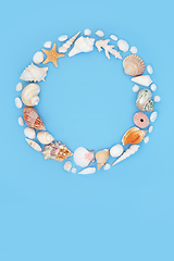 Image showing Seashell Abstract Summer Wreath