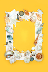 Image showing Exotic Seashell Background Border Frame