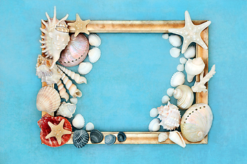 Image showing Seashell Abstract Background Picture frame 