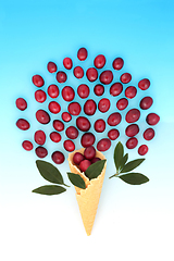 Image showing Surreal Fun Summer Cranberry Fruit Ice Cream Cone  