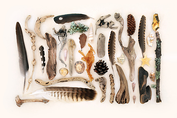 Image showing Natural Collection of Nature Objects 