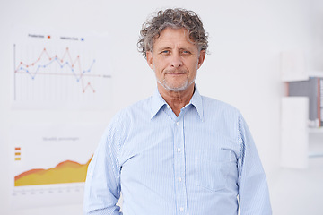 Image showing Businessman, graph and portrait in office for research and data for career or organisation. Executive with smile and confidence for decision in agency, company or corporation for info and funding