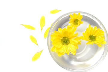 Image showing yellow flowers in water and petals