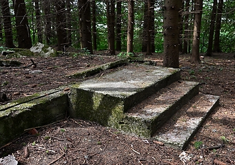 Image showing concrete foundation and porch of a ruined house in a forest