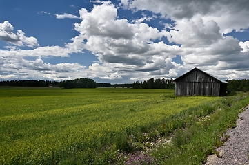 Image showing view of agricultural field and barn in summertime