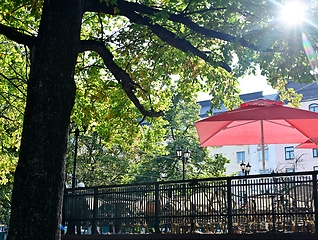 Image showing cafe terrace in the park in the shade of trees 