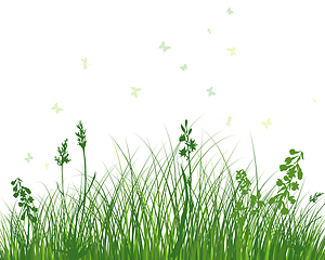 Image showing Green Grass Meadow