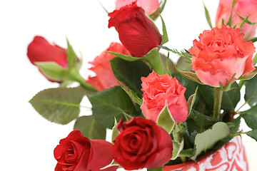 Image showing lots of roses