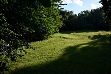 Image showing sunlit green lawn in the park 
