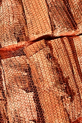 Image showing birch firewood in nets