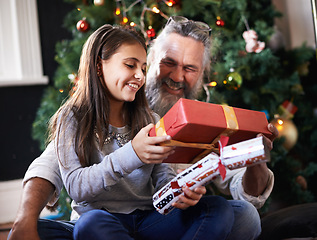 Image showing Grandpa, child and gift by Christmas tree in home, festive season and present for bonding on xmas. Grandfather, girl and happy for package on religious holiday, celebration and love for tradition
