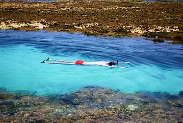 Image showing Swimming in crystalline clear waters in Maragogi,  Brazil