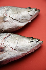 Image showing Two fish