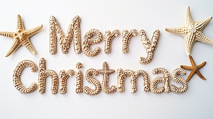 Image showing Words Merry Christmas created in Kiwi Typography.