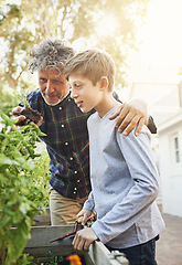 Image showing Gardening, plants and grandfather teaching kid on greenery growth, development and environment. Agro, eco friendly and boy child learning horticulture with senior man outdoor in backyard for hobby.