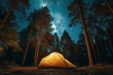 Image showing Stargazing from a forest campsite