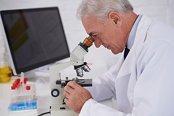 Image showing Doctor, microscope and research in lab for medical experiment, vaccine study or pharmaceutical innovation. Investigation, mature scientist and biotechnology for development, dna or bacteria test