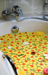 Image showing Bath