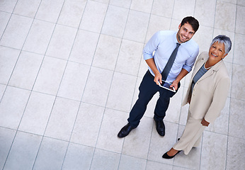 Image showing Business people, portrait and tablet for collaboration, teamwork and leadership above in human resources. Professional woman, manager and employees with digital technology for planning and mockup