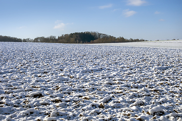 Image showing Hohenlohe at winter time