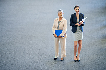 Image showing Business people, paperwork and lawyers portrait in office, planning and collaboration for documents. Colleagues, workplace and manager in firm for problem solving, solution and teamwork for research