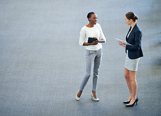 Image showing Business, paperwork and women in discussion, planning or speaking with documents in office. Colleagues, mockup space or communication in firm for problem solving, solution and management for research