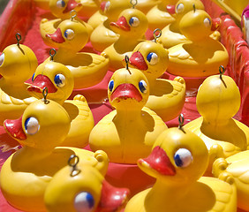 Image showing lots of rubber ducks