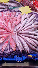 Image showing Many fish in a fish market