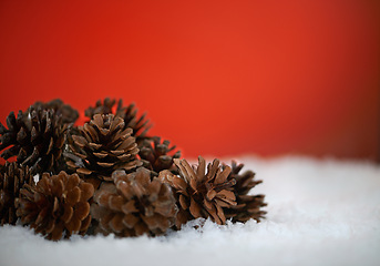 Image showing Pine cones, studio and Christmas on snow, festive season and decoration on red background. Plant, nature and symbol of holiday celebration on mockup space, object and traditional ornament on backdrop