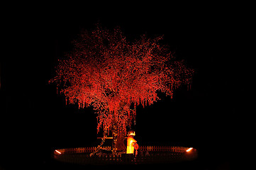 Image showing red chinese tree