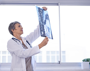 Image showing Woman, senior doctor and review xray for planning medical treatment, surgery and healthcare at hospital. Brain scan, neurology and radiology with surgeon for health assessment, anatomy and MRI