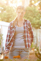 Image showing Sunshine, garden and watering plants with woman, thinking and harvest with happiness and nutrition. Hobby, person or girl with tools and liquid with backyard or environment with vegan, wet or outdoor