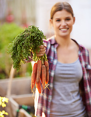 Image showing Happy woman, portrait and harvest with carrots for garden or farming of crops and resources. Female person with smile and a bunch of roots or organic vegetables for natural growth or fresh produce