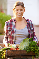 Image showing Happy woman, portrait and harvester with box of vegetables from garden or farming of crops and resources. Female person with smile holding a crate of organic veg, natural growth or fresh produce