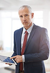 Image showing Tablet screen, portrait or senior businessman with hand pointing to graph, chart or statistics. Finance, face or accountant show digital timeline app, budget or investment, research or data analytics