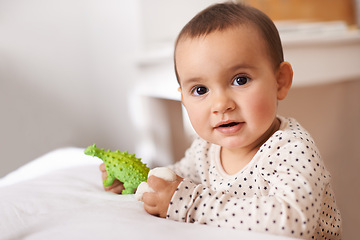 Image showing Baby, portrait and toy for childhood development in home nursery for playing game, relax or weekend. Kid, face and dinosaur in apartment for wellness growth or educational fun, learning or happiness