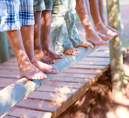 Image showing Children, feet and closeup of balancing on wood in nature for fun and adventure. Legs, zoom and diverse kids playing outside on tree with stability and support for development and friends bonding
