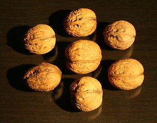 Image showing The 7 walnuts on the dark surface